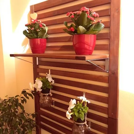 Bb Vicolo Corto Alghero