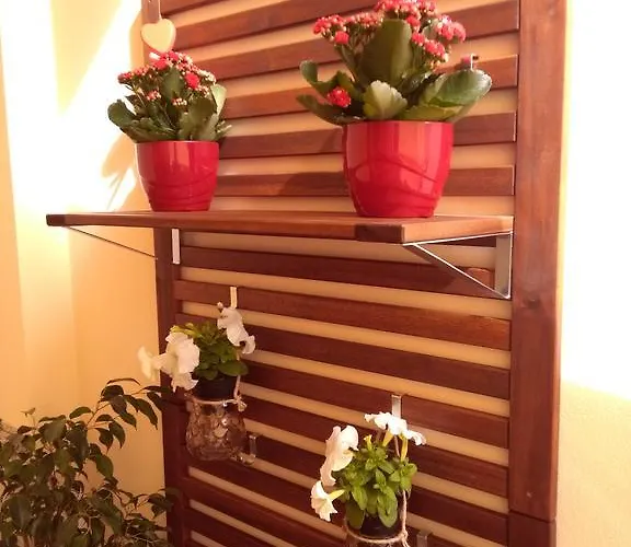 Bb Vicolo Corto Alghero